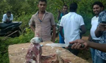 Action against eagle killers