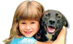 Constitutional Protection for all Animals: a need of the hour