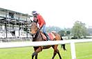 Nuwara Eliya gears up for ‘racing at the highest peak’ on March 20