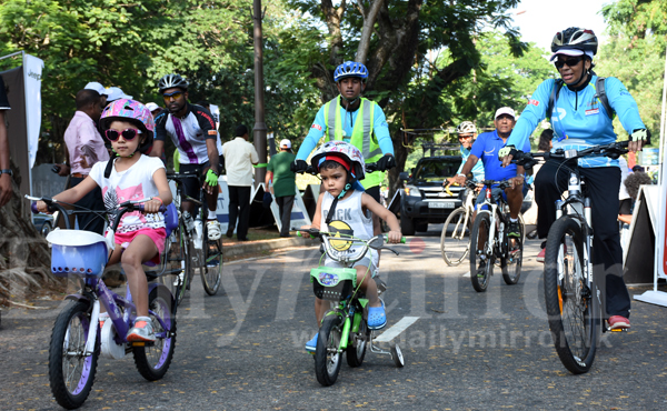 Share the road with cyclists