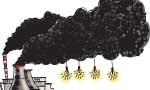 Why Sampur? Saving the climate means quitting coal