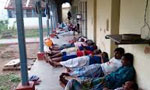 Lankans in TN begin indefinite fast