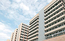 Central Bank keeps key policy rates steady