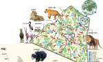 ‘Yes’ or  ‘No’ to zoos and safari parks?
