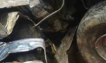 One killed in train-tipper collision