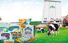 Pelwatte Dairy brings fresh dairy goodness for season 
