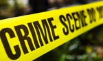 Wanted murder suspect shoots himself