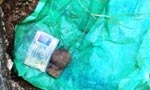 Politician’s NIC found with hand grenade