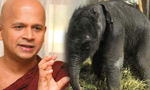 CID concludes probe into Uduwe Dhammaloka Thera