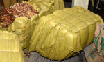 Container of dried chillies worth Rs.10 m seized by Customs