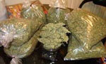 India’s help sought to tackle drugs problem in Jaffna
