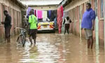 Eight killed, eight missing, 207, 576 affected