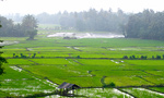 Rain brings positive results