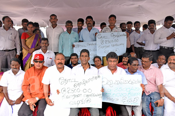 Ministers demand wage hike for estate workers