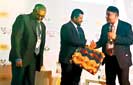 Lentils now a Lankan staple food- Rishad