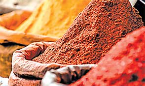 Export cess removal to give fresh impetus to spice industry