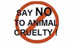 Constitution: Reform Committee recommends humane treatment of animals
