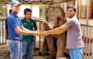 Mercantile Investments and Finance assists elephant calf get prosthetic leg