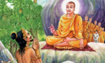 Dhamma is not for ‘Learning’