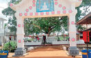 Siddhalepa marks Poson islandwide