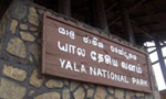 Yala Warden harassed for uncovering exertion of political pressure
