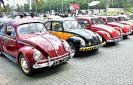 World Volkswagen Day