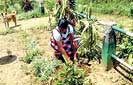 Strathspey Estate celebrates Environmental Day 