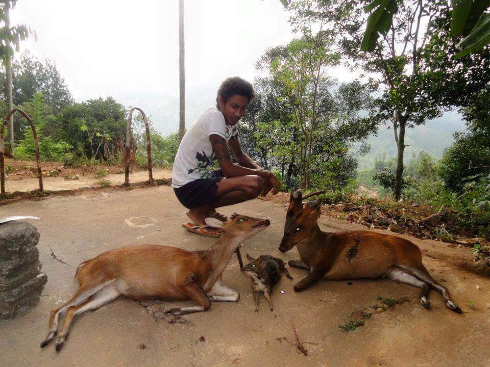 Killing of rare animals goes viral on social media