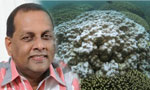 Removal of natural reef after submission of EFR