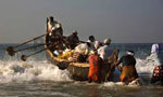 Indian fishermen causing damage to marine ecology: PM
