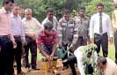 RDA announces Highway Tree Planting Week