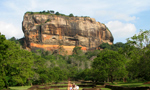 Another wasp attack at Sigiriya: 17 hospitalized