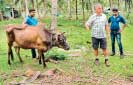 Fonterra NZ farmer volunteers help local farmer families adopt sustainable practices