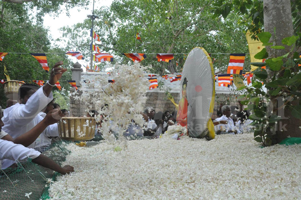 Video: Pichcha Mal Pujawa at Jaya Sri Maha Bodhi