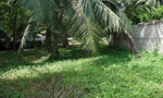 Empty lands in Colombo city limits to be developed