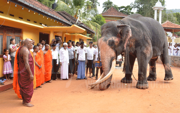 Nedungamuwe Raja leaves for duty