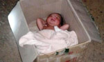 20 day old Infant found abandoned in cardboard box in Jaffna