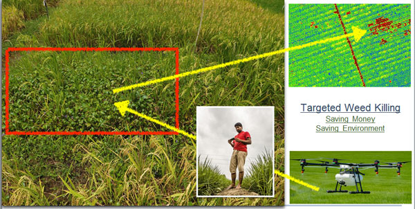 CIC introduces Smart Farming to Sri Lanka 