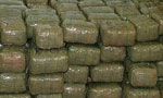 Hashish worth Rs.160 mn seized in Rajagiriya