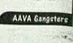 Police investigating ‘AAVA gangsters' in Jaffna