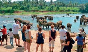 Tourist arrivals in October up 14%