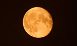 “Supermoon” on November 14