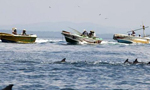 Foreign boats straying into SL territory to be fined upto Rs 17 crore