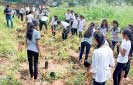 CTC plants thousand saplings to mark annual tree planting programme