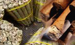 Pictorial warnings on beedi and cigars: Rajitha