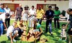 LOLC champions sustainability through renewable energy  and reforestation 