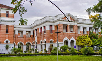 Royal College Grade 1 kids stranded?