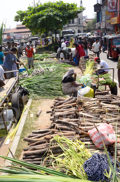 Preparations for Thai Pongal