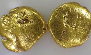 Two Lankans nabbed with gold nuggets hidden under tongues