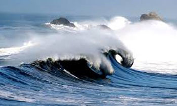 Sea wave electricity soon: Minister